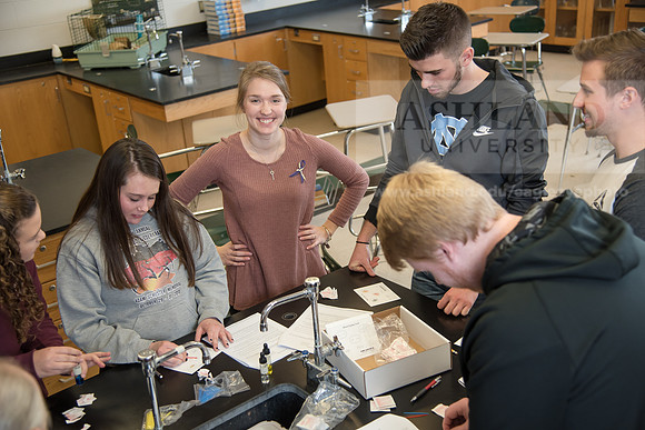Education - Bachelor's Plus Program