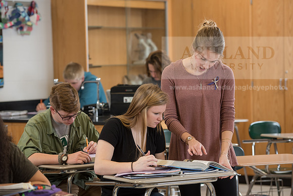 Education - Bachelor's Plus Program
