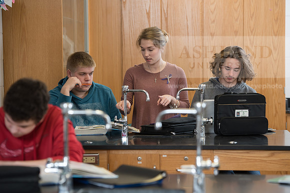 Education - Bachelor's Plus Program