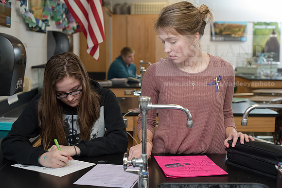 Education - Bachelor's Plus Program