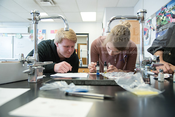Education - Bachelor's Plus Program