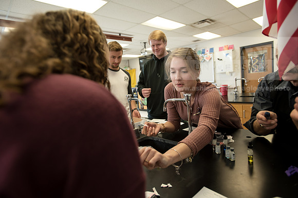 Education - Bachelor's Plus Program