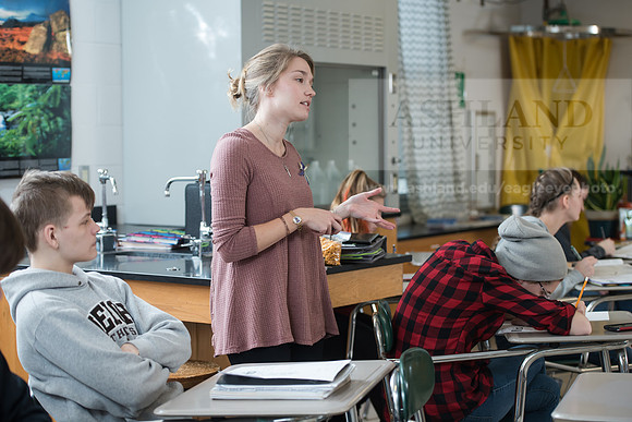 Education - Bachelor's Plus Program