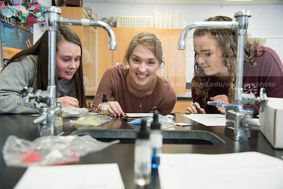 Education - Bachelor's Plus Program