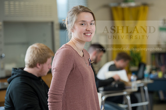Education - Bachelor's Plus Program