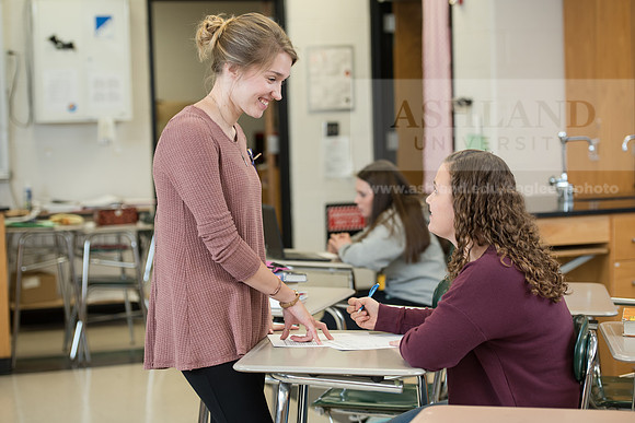 Education - Bachelor's Plus Program