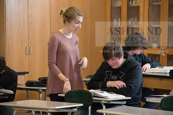 Education - Bachelor's Plus Program