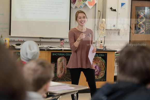 Education - Bachelor's Plus Program