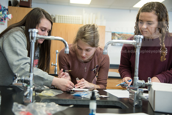 Education - Bachelor's Plus Program
