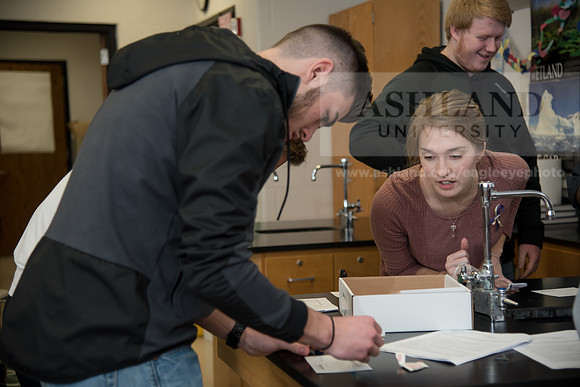 Education - Bachelor's Plus Program