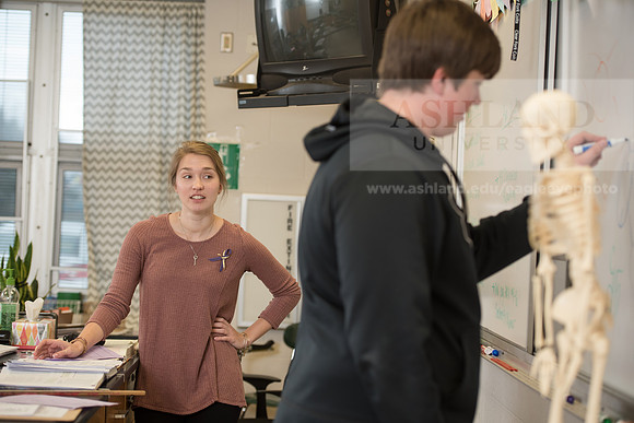Education - Bachelor's Plus Program