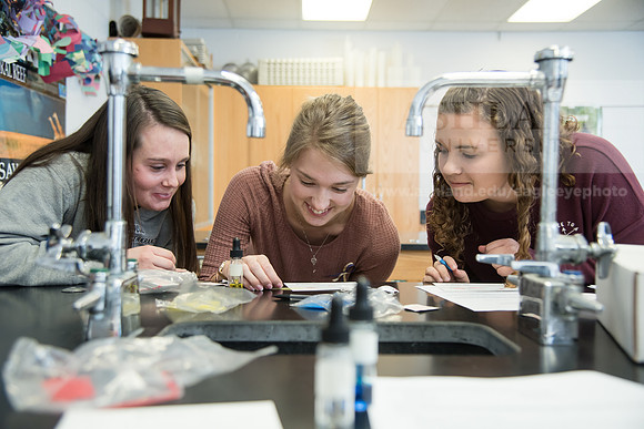 Education - Bachelor's Plus Program
