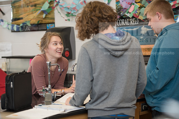 Education - Bachelor's Plus Program
