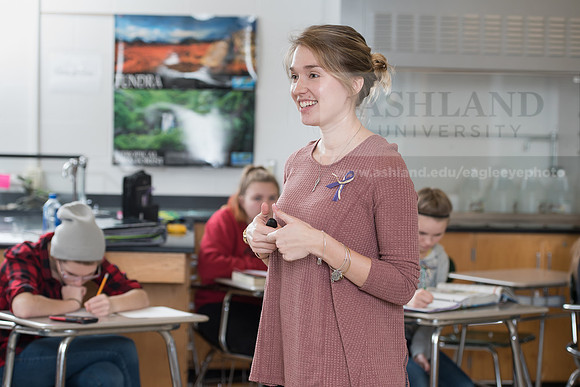 Education - Bachelor's Plus Program