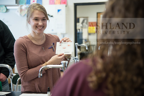 Education - Bachelor's Plus Program