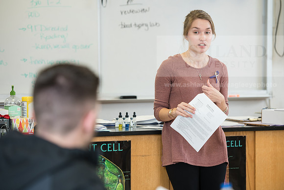 Education - Bachelor's Plus Program
