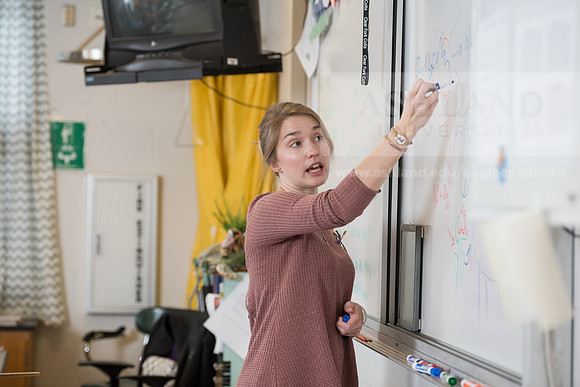Education - Bachelor's Plus Program