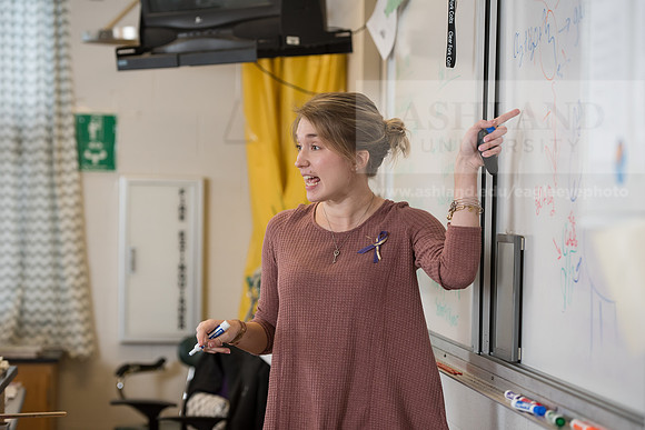 Education - Bachelor's Plus Program
