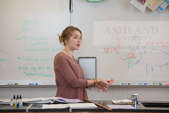 Education - Bachelor's Plus Program