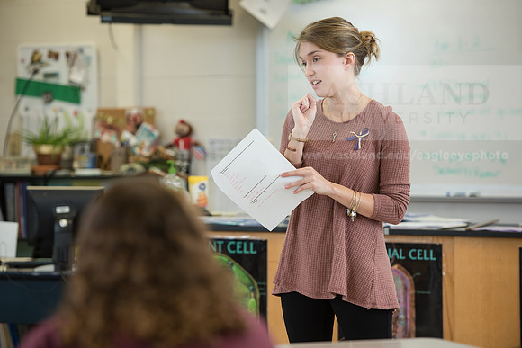 Education - Bachelor's Plus Program