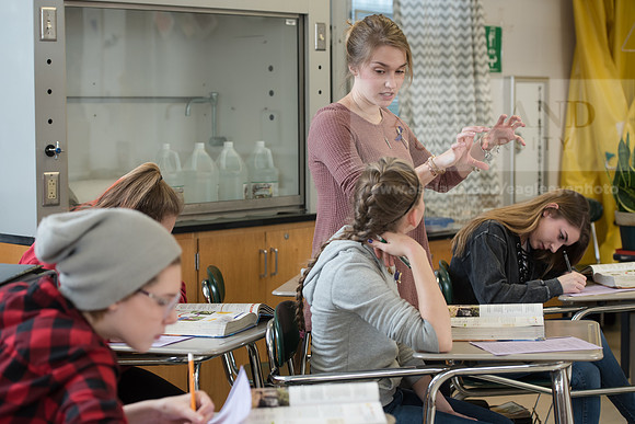 Education - Bachelor's Plus Program