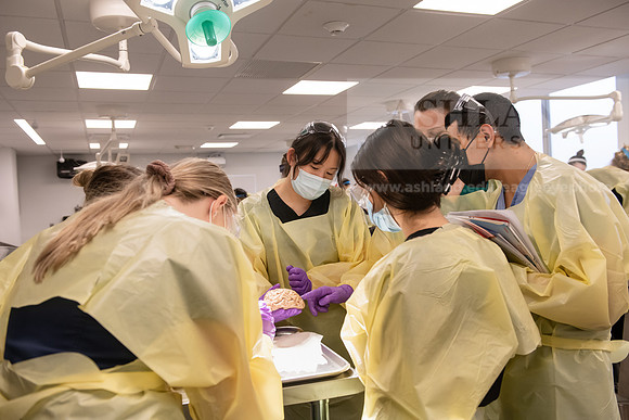 PAProgramCadaverLab1221ALW_3643