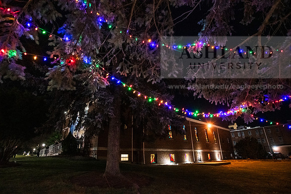 ChristmasDecorations1224AWB_5200