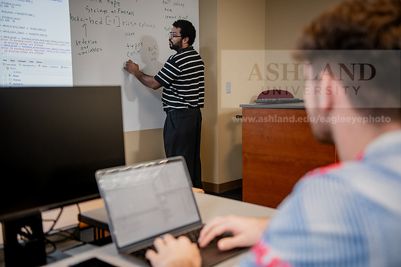 MISBusinessAnalyticsProfDavisAWB_3314