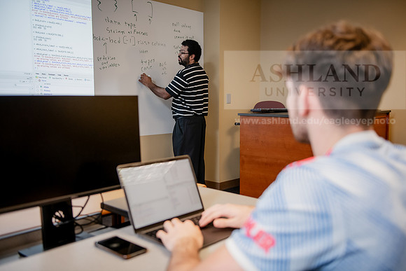 MISBusinessAnalyticsProfDavisAWB_3318