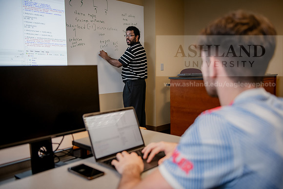 MISBusinessAnalyticsProfDavisAWB_3321