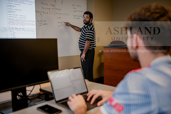 MISBusinessAnalyticsProfDavisAWB_3329