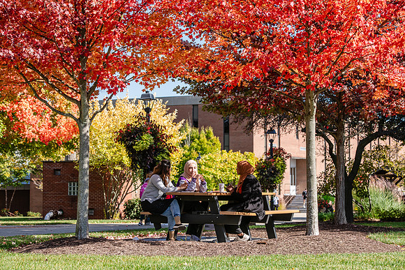 FallCampusLife1024AWB_5840