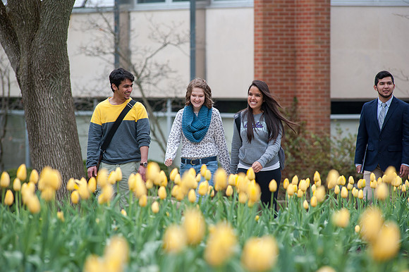 Admissions Viewbook Outdoor Campus