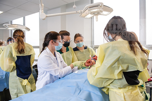 PAProgramCadaverLab1221ALW_4064