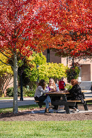 FallCampusLife1024AWB_5859
