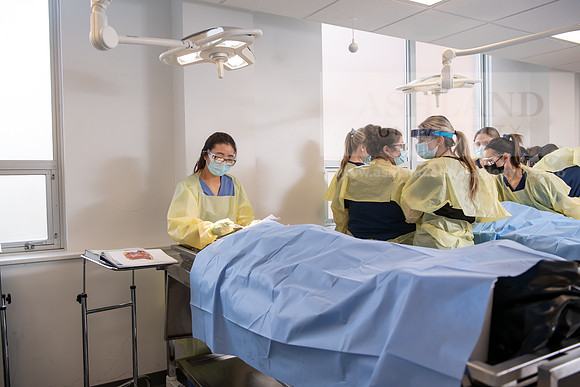 PAProgramCadaverLab1221ALW_4211