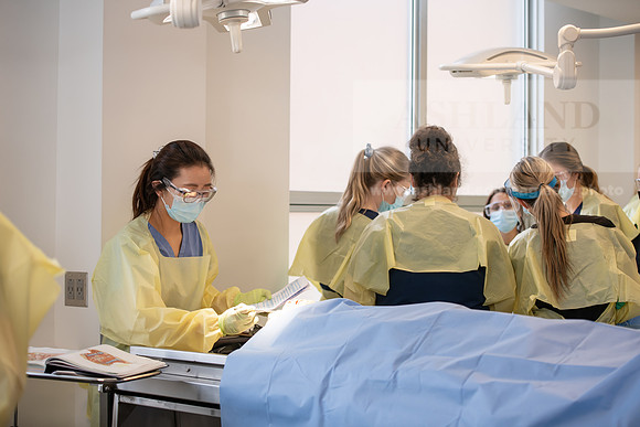PAProgramCadaverLab1221ALW_4191