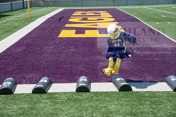 Tuffy Preparing for Marathon