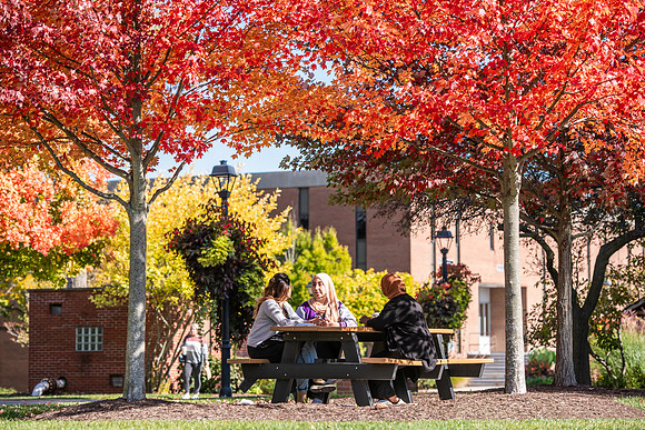 FallCampusLife1024AWB_5913
