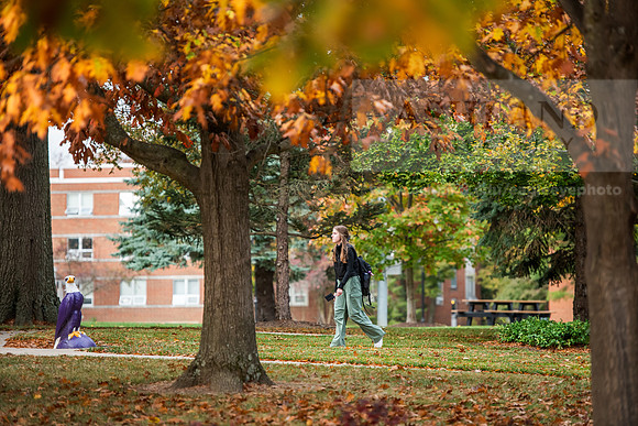 FallCampusLife1024AWB_8881