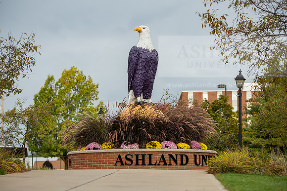 FallCampusLife1023AWB_1427