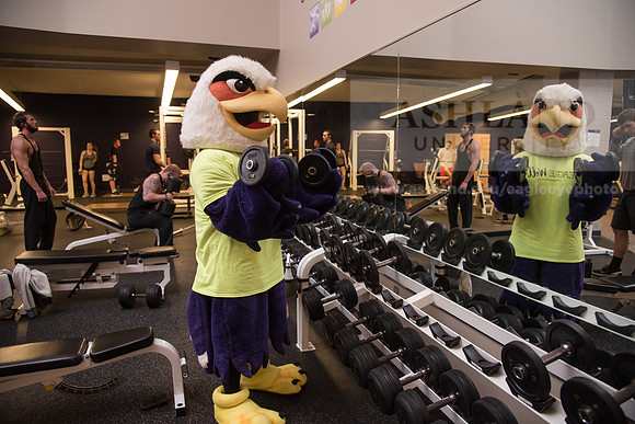 Tuffy - Campus Wellness Program