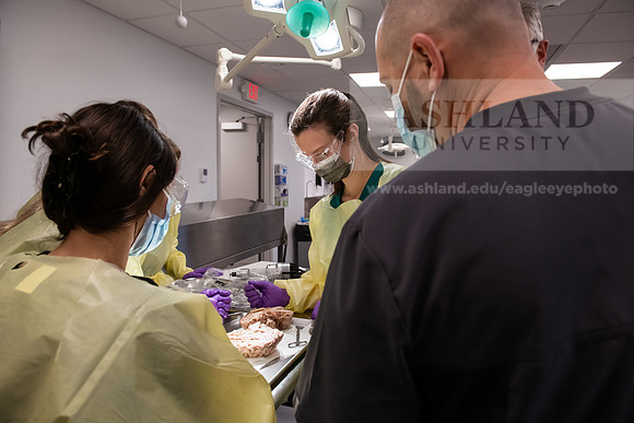 PAProgramCadaverLab1221ALW_3624