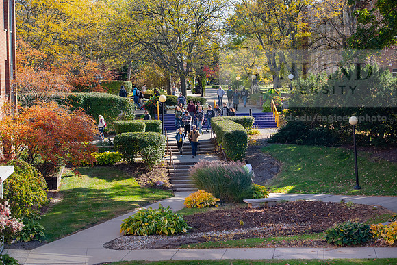 FallCampus1019ALW_3489