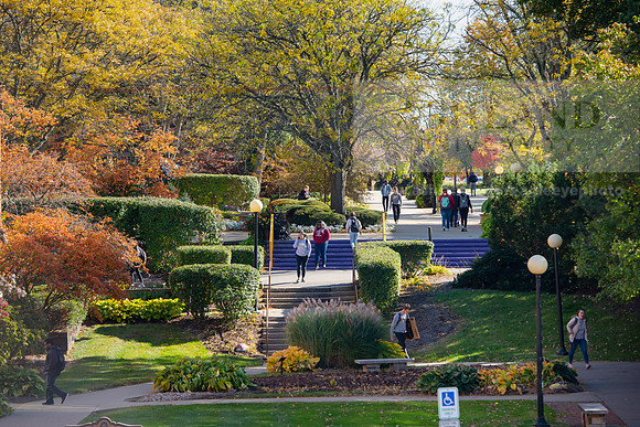 FallCampus1019ALW_3338