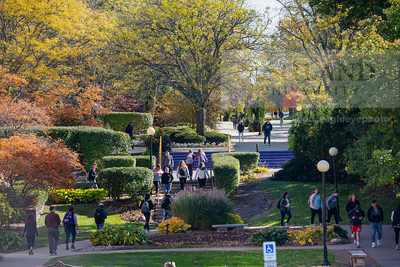 FallCampus1019ALW_3348