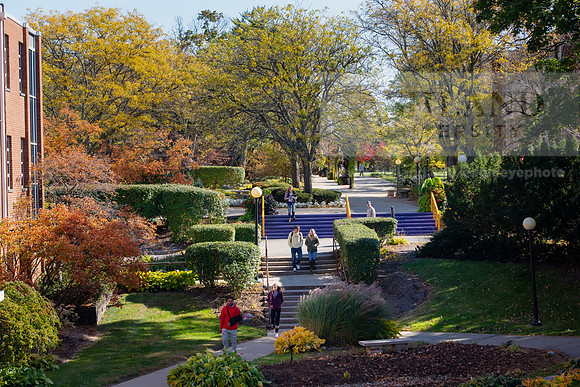 FallCampus1019ALW_3573