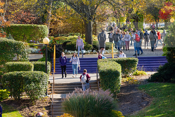 FallCampus1019ALW_3419