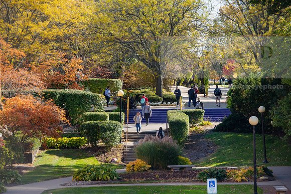 FallCampus1019ALW_3333