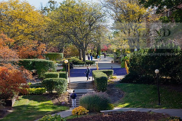 FallCampus1019ALW_3539